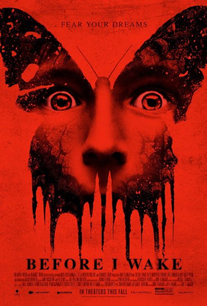 Before I Wake